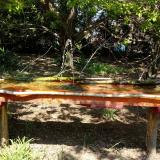 photo 2021-04-24 12-47-30