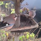 photo 2019-12-12 12-19-00