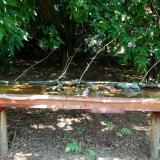 photo 2021-07-24 11-47-24