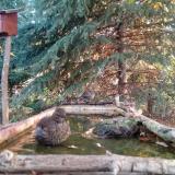 photo 2023-10-14 08-00-50