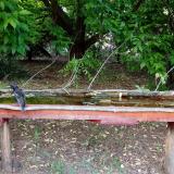 photo 2021-05-22 19-20-36