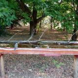 photo 2021-07-01 07-03-05