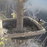 photo 2019-12-28 10-45-54