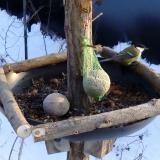 photo 2019-01-11 14-53-52