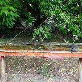 photo 2021-05-25 10-34-35