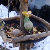 photo 2019-01-14 08-12-20