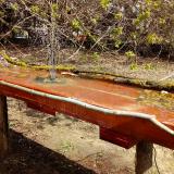 photo 2021-04-07 12-01-21