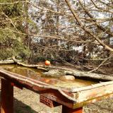 photo 2022-03-08 13-40-04