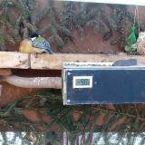 photo 2021-02-13 08-24-20