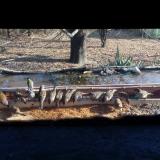 photo 2021-11-24 12-48-07