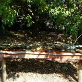 photo 2021-10-02 11-49-30