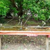 photo 2021-05-13 12-52-36