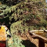 photo 2021-11-12 12-51-04