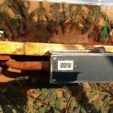 photo 2021-02-21 15-01-47