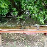 photo 2021-05-19 10-13-12