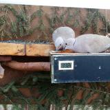 photo 2021-03-06 11-21-32