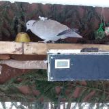 photo 2021-02-11 08-06-47