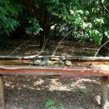 photo 2021-07-14 10-45-43