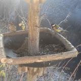 photo 2019-12-30 11-33-53