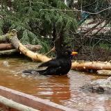 photo 2022-03-30 14-40-25 rigo