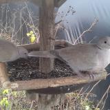 photo 2019-12-25 12-50-47