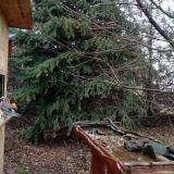 photo 2021-12-16 10-50-23