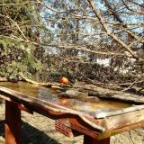 photo 2022-03-21 13-53-37