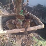 photo 2019-02-11 08-56-13