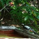 photo 2021-07-23 09-56-26 harkaly