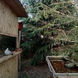 photo 2022-01-02 14-16-43