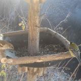 photo 2019-12-30 11-33-29