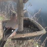 photo 2019-12-25 14-34-20