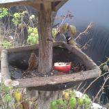 photo 2019-12-06 10-36-56