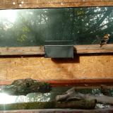 photo 2023-10-24 08-52-08