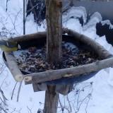 photo 2019-01-07 08-02-54