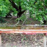 photo 2021-05-20 14-45-10