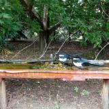 photo 2021-08-23 15-07-09