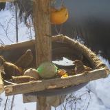 photo 2019-01-27 09-19-57