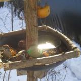 photo 2019-01-27 10-05-53