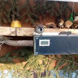 photo 2021-02-11 15-29-31