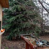 photo 2021-12-16 10-49-29