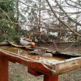 photo 2022-03-17 10-11-16