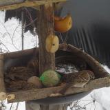 photo 2019-01-27 13-19-47