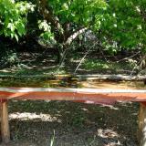 photo 2021-05-09 08-59-46