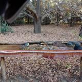 photo 2021-10-26 07-57-07