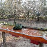 photo 2021-03-26 07-08-19