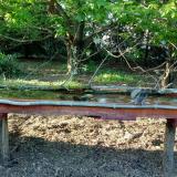 photo 2021-04-30 18-17-59