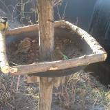 photo 2019-02-14 08-12-06