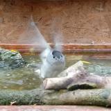 photo 2023-10-28 12-25-00 baratposzata