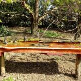 photo 2021-04-12 09-56-04